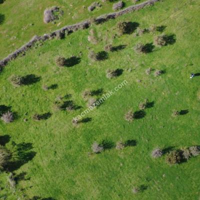 Çanakkale Ezine Yaylacık Köyünde 751 parsel numaralı satılık tarla