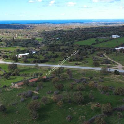 Çanakkale Ezine Yaylacık Köyünde 751 parsel numaralı satılık tarla