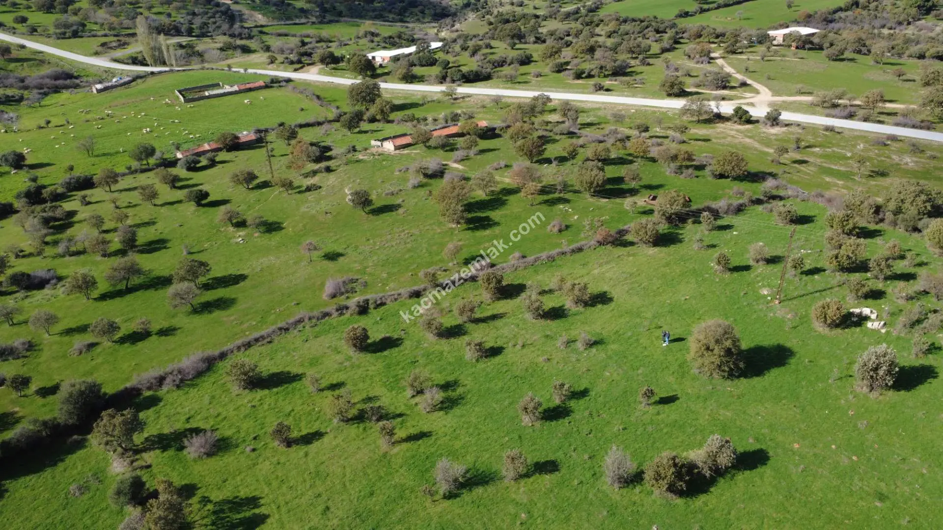 Çanakkale Ezine Yaylacık Köyünde 751 parsel numaralı satılık tarla