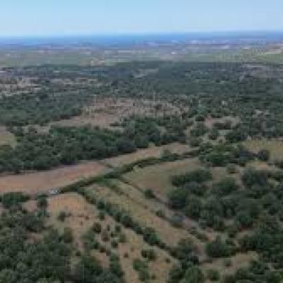 Çanakkale Ezine Yaylacık Köyünde 751 parsel numaralı satılık tarla