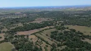 Çanakkale Ezine Yaylacık Köyünde 751 parsel numaralı satılık tarla